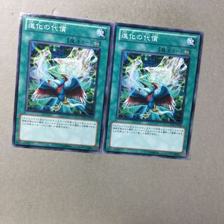 進化の代償　２枚