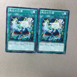 進化の代償　２枚