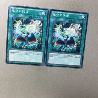 進化の代償　２枚