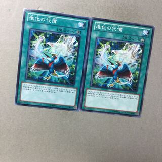 進化の代償　２枚