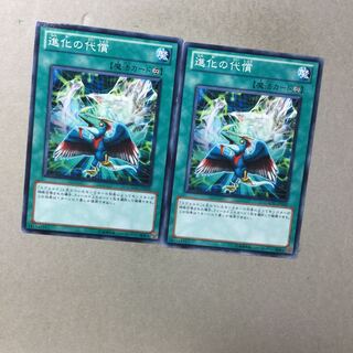 進化の代償　２枚