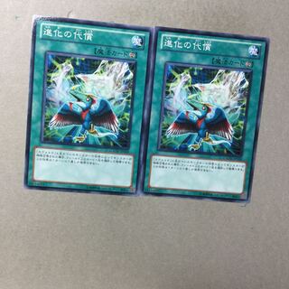 進化の代償　２枚