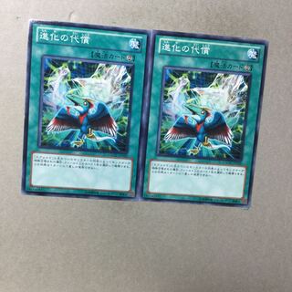 進化の代償　２枚