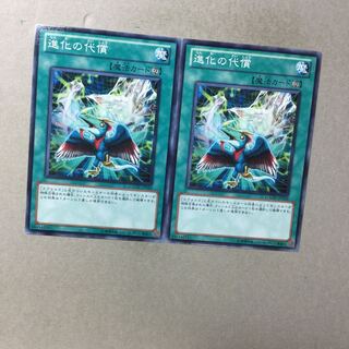 進化の代償　２枚