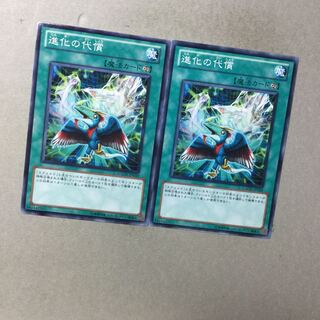 進化の代償　２枚