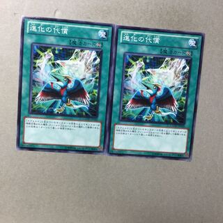 進化の代償　２枚