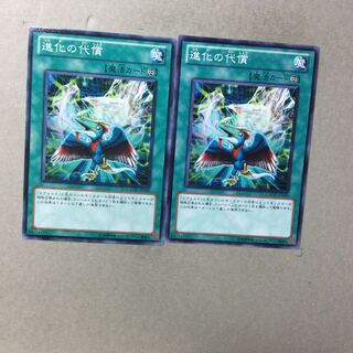 進化の代償　２枚