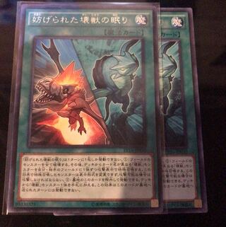 妨げられた壊獣の眠り レア