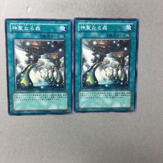 神聖なる森　２枚