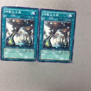 神聖なる森　２枚