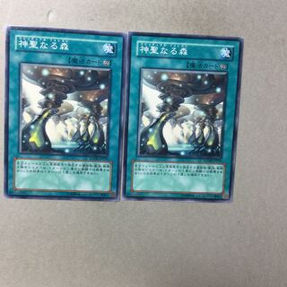 神聖なる森　２枚