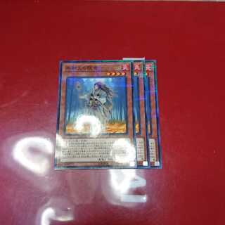 不知火の隠者 パラレル ノーマル3枚