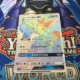 ハッサムGX HR きけんしょく