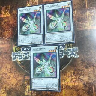 遊戯王★虹光の宣告者★ノーマル三枚★