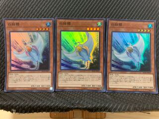 【ぽぽたん】遊戯王 -1880 白棘鱏 3枚 スーパー
