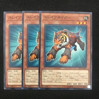 スレイブタイガー