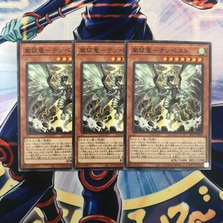 嵐征竜-テンペスト