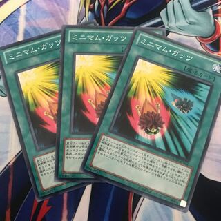 ミニマム・ガッツ