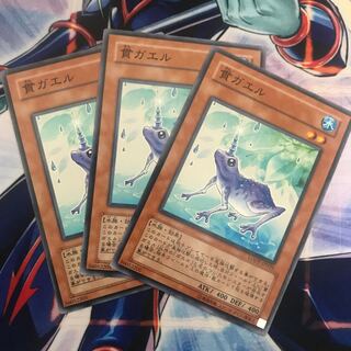 【AQUA】貫ガエル