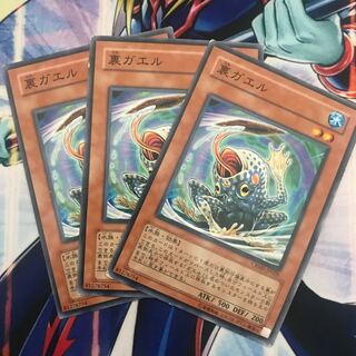 【AQUA】裏ガエル