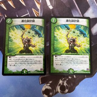 進化設計図 R 2枚セット