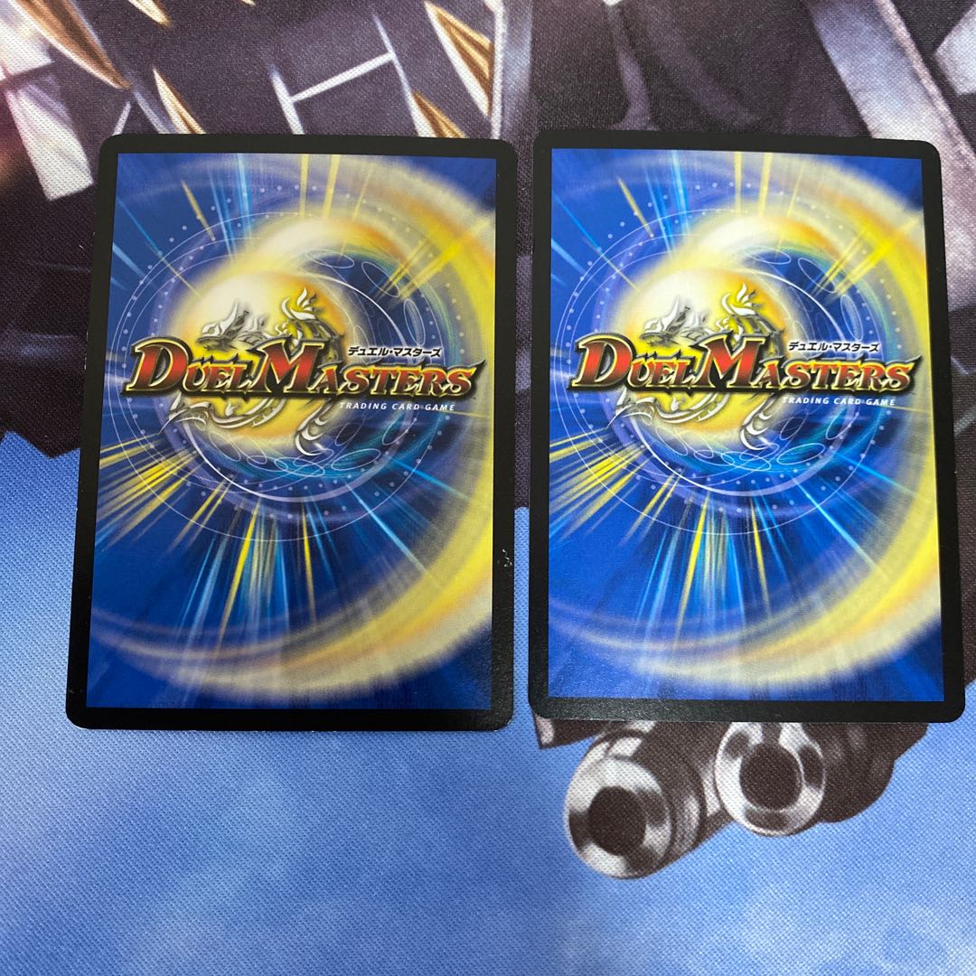 進化設計図 R 2枚セット