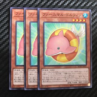 ファーニマル・ドルフィン ノーマル