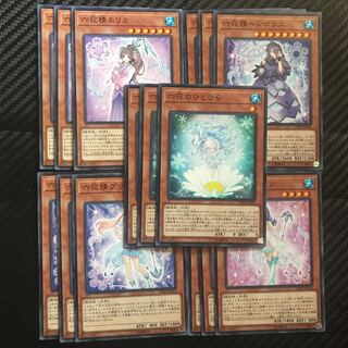 六花セット 1枚