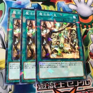 魔法族の里　ノーパラ　3枚