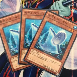 素早いマンボウ