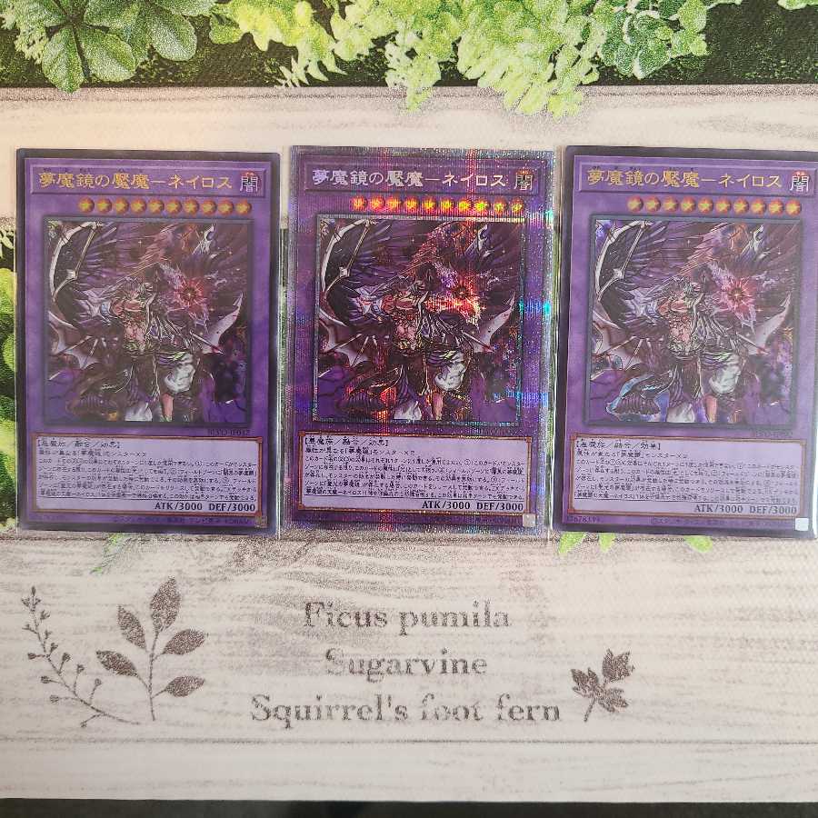 Additional Nightmare Border Deck Set (with presic)
