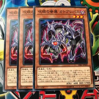 呪眼の眷属 カトブレパス　3枚