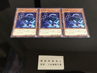 金華猫  ノーマル ３枚 セット