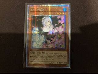 儚無みずき 韓国版 プリシク