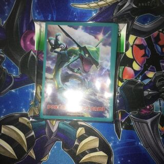 clRayquaza sleeve for Chiba only