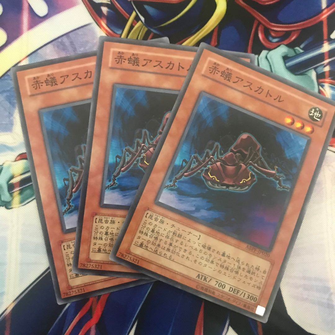 赤蟻アスカトル