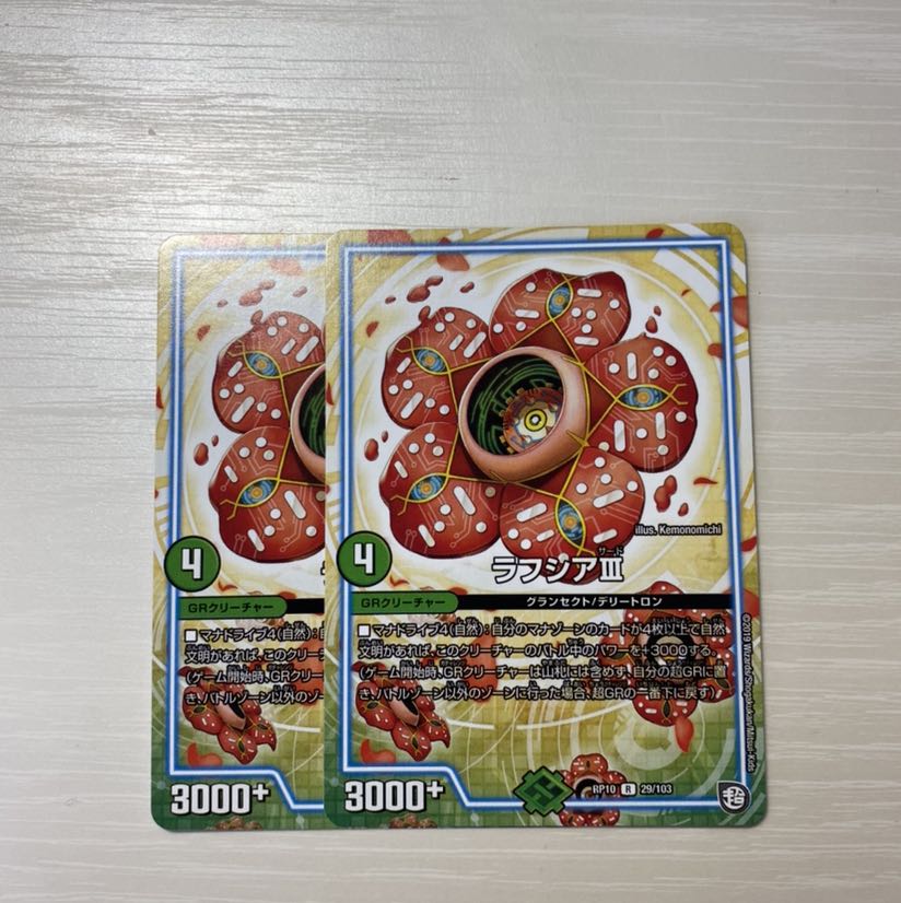 ラフシアIII 2枚