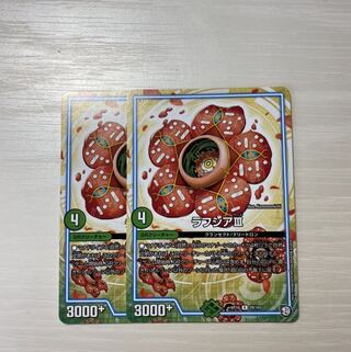 ラフシアIII 2枚