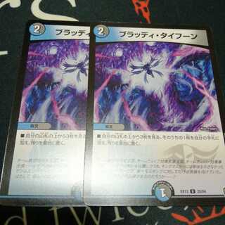 ブラッディ・タイフーン 2枚