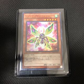 プリミティブバタフライ