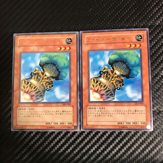 ファイバーポッド