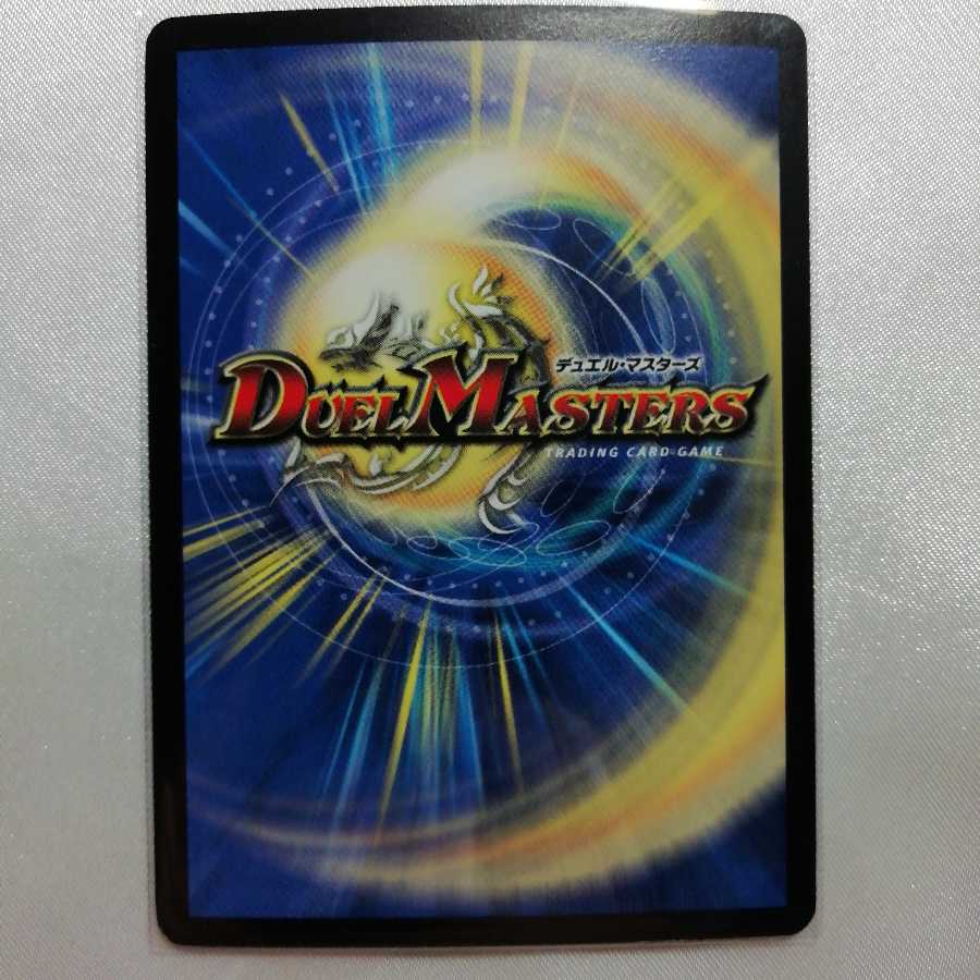 ロスト・チャージャー R