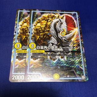 ルーベライノ  2枚