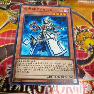 ◉召喚師アレイスター ノーマル