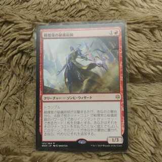 戦慄衆の秘儀術師