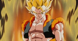 謎袋  カメさん専用