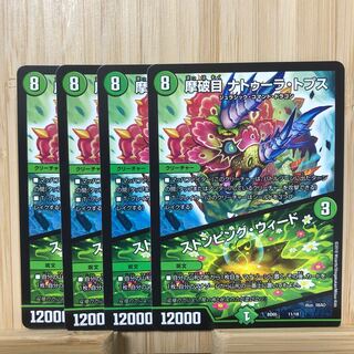 摩破目 ナトゥーラ・トプス｜ストンピング・ウィード