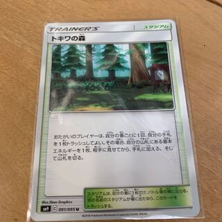 トキワの森最終値下げ！！最安値！！