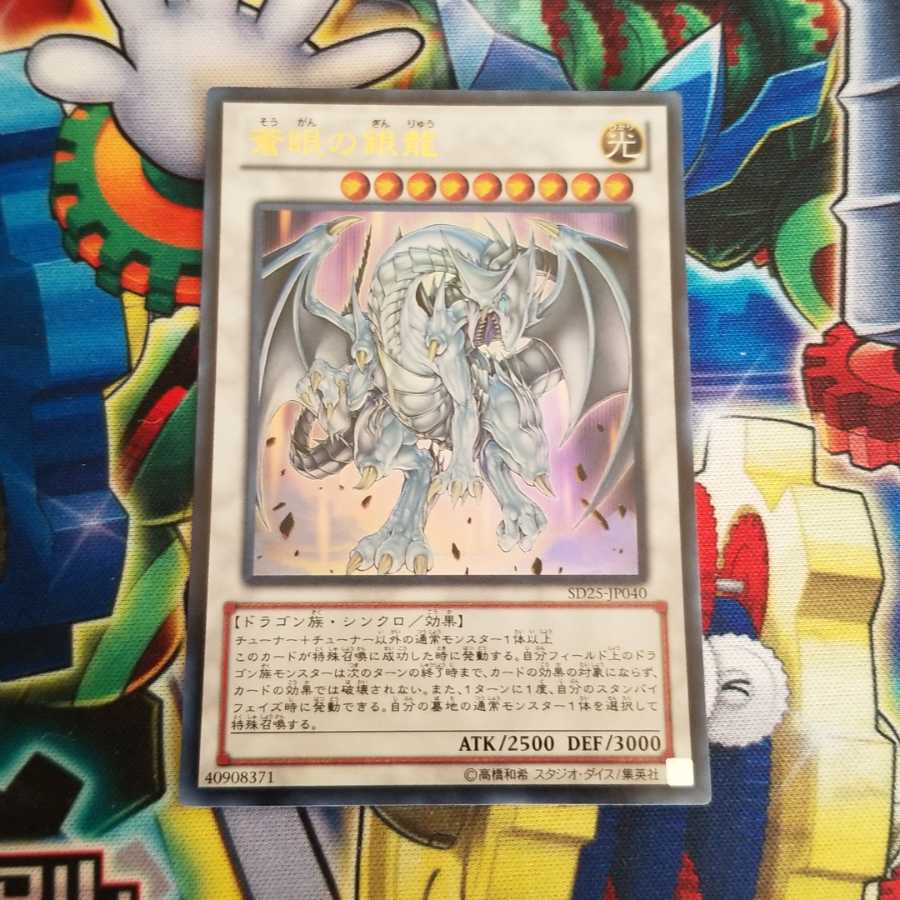 専用　蒼眼の銀龍