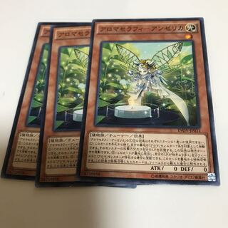 マドレース アロマセラフィ-アンゼリカ ノーマル